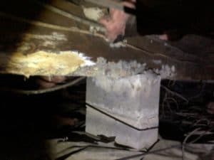 Wet Fiberglass Insulation, Mold, & Rotting Floor Joist