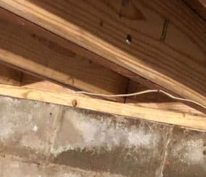 repaired joists and sill plate