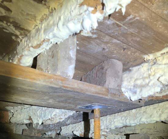 Large amount of white mold on floor joists