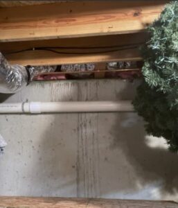 water dripping down basement wall