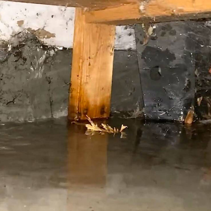 Flooded crawl space