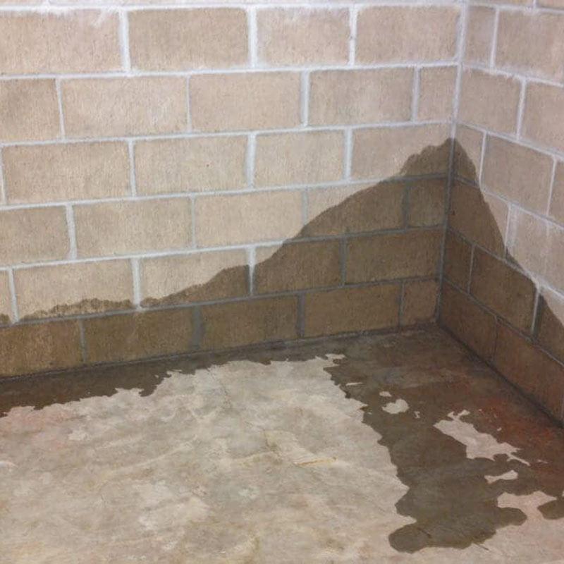 Wet basement corner